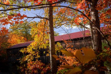 Albany bir sonbahar öğleden sonrasına kadar köprüyü kapattı.