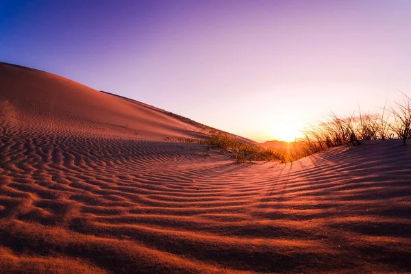 Ribbels Schaduw Van Een Directe Zonsondergang Boven Kelso Duin — Stockfoto