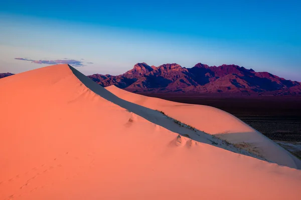 Topo Das Dunas Kelso Montanhas Providence — Fotografia de Stock