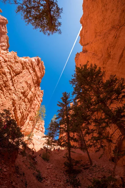 Randonnée Dans Canyon Bryce — Photo