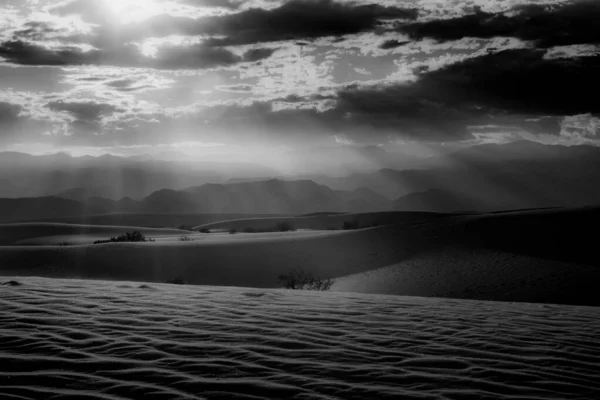 Mesquite Ploché Písečné Duny Černé Bílé — Stock fotografie