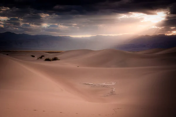 Sluneční Paprsek Nad Mesquite Ploché Písečné Duny Pole — Stock fotografie