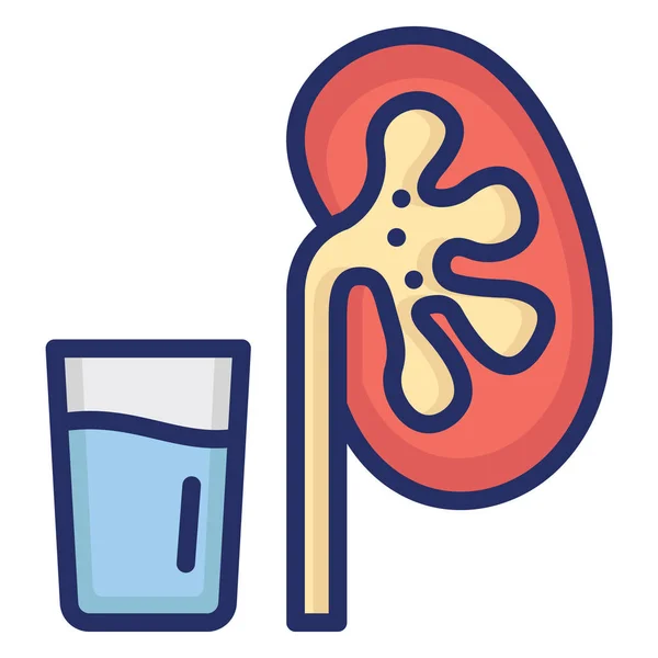 Kidney Issue Isolated Vector Icon Can Easily Modified Edit — Stock Vector