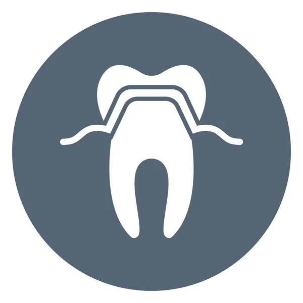 Molar Isolated Vector Icon Can Easily Modified Edit — Stock Vector
