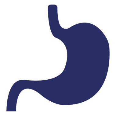 Kolayca değiştirilebilen ya da düzenlenebilen mide izole edilmiş vektör simgesi