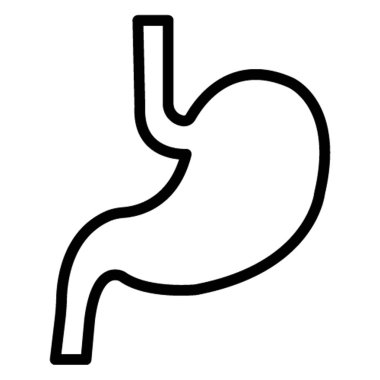 Kolayca değiştirilebilen ya da düzenlenebilen mide izole edilmiş vektör simgesi