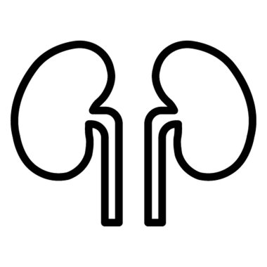 Böbrekler izole edilmiş Vektör simgesi kolayca değiştirilebilir ya da düzenlenebilir