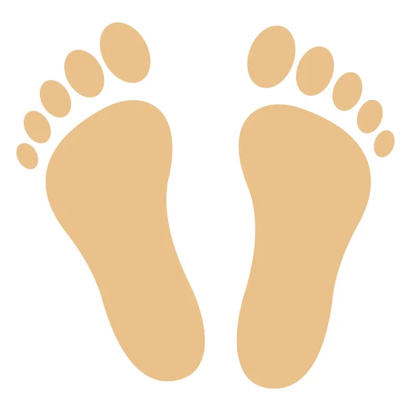 Footprint Color Vector Icon Which Can Easily Modify Edit — Stock Vector