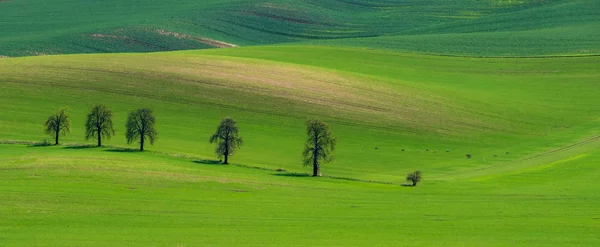 Moravske Toskansko Karlinske Kastany — Stock Photo, Image