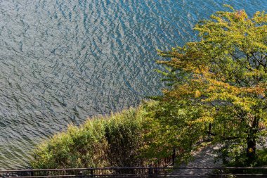 Kawaguchiko Japonya Gölü sonbahar ağaçlar