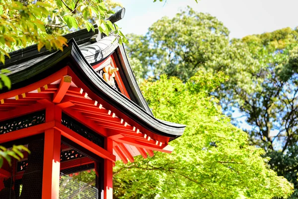 Templo japonés entre los árboles de arce verde — Foto de Stock