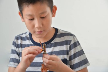 Asyalı çocuk lego ile oynuyor. gri bir arka plan üzerinde izole