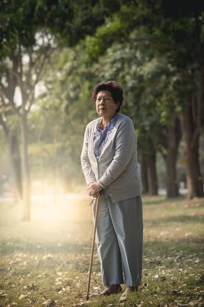 Азиатская старшая женщина с тростью на фоне природы outdo — стоковое фото