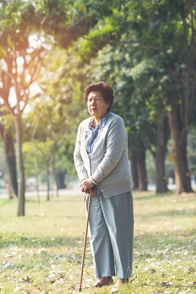 Asiática senior mujer con caminar palo en naturaleza fondo outdo —  Fotos de Stock