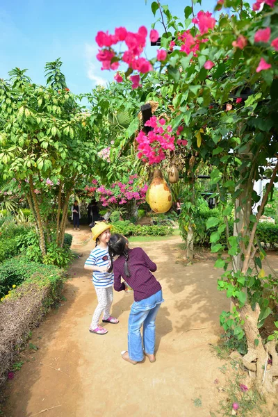 Asian children enjoy vegetables farm in sunny day, travel lifest — Stock Photo, Image