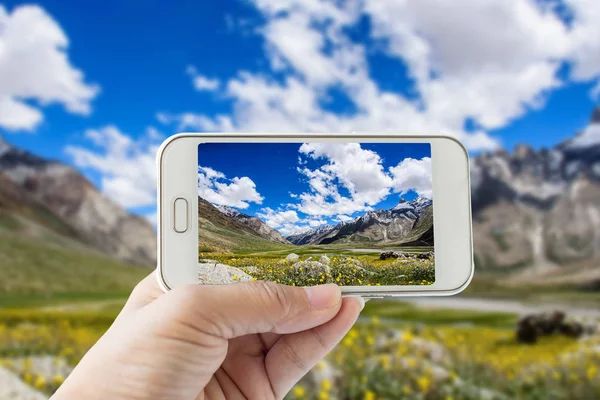 Hand taking photo by smartphone with beautiful yellow flower fie