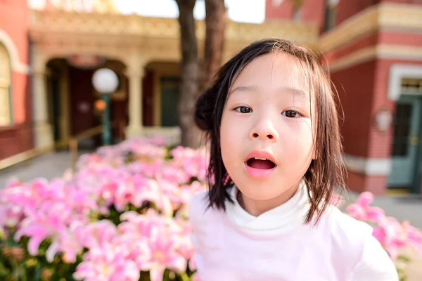 Carino ragazza asiatica con campo di fiori rosa all'aperto con luce naturale — Foto Stock