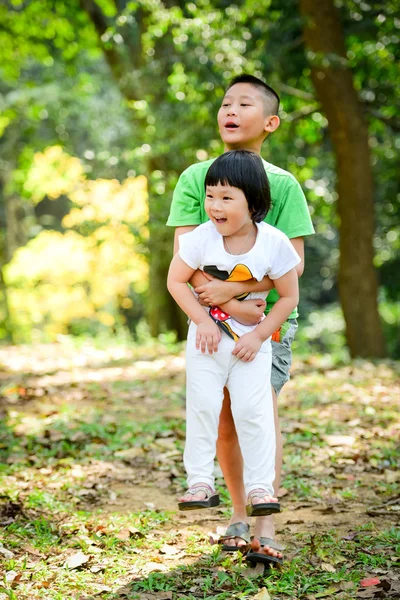 Felice asiatico ragazzo holding suo sorella in il parco all'aperto . — Foto Stock