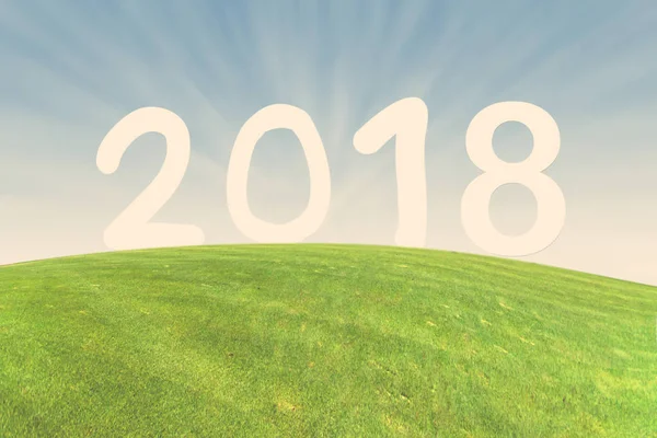 Číslo 2018 na zelené louce s sun ray — Stock fotografie