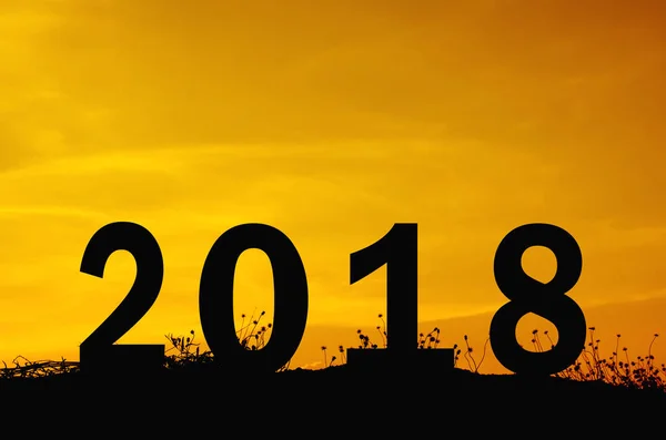 2018 con sfondo sagome erba e tramonto — Foto Stock