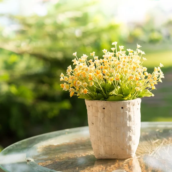 Žlutý květ v bílém přístavu na stole s přirozeným světlem — Stock fotografie