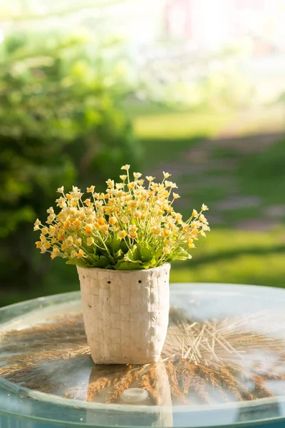 Żółty kwiat w biały port na stole z naturalnego światła — Zdjęcie stockowe