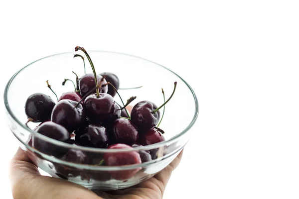 Schwarze frisch gepflückte Kirschen — Stockfoto