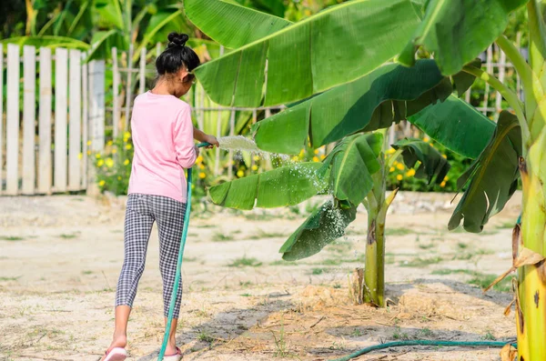 Asiatique fille arrosage bananier dans champ avec jour ensoleillé . — Photo