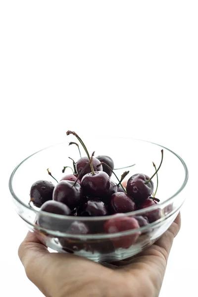 Schwarze frisch gepflückte Kirschen — Stockfoto