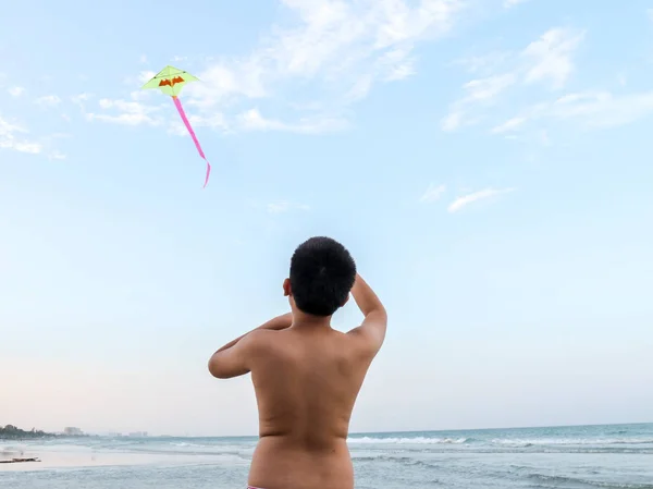 Indietro del ragazzo che gioca aquilone sulla spiaggia . — Foto Stock