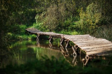 Nehrin üzerindeki tahta köprü. Sessiz bir göletin üzerindeki kütüklerden yapılmış bir köprü.