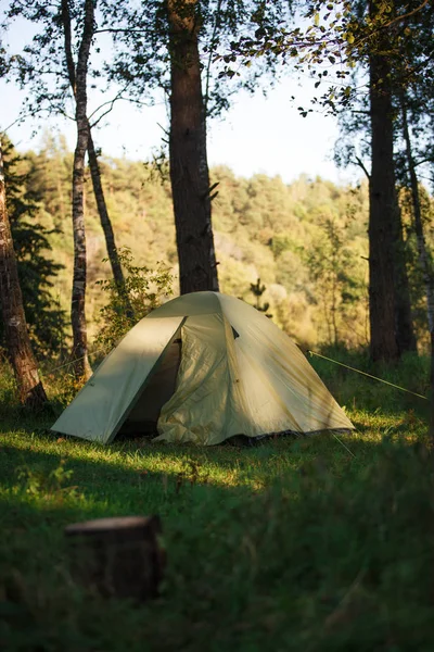 Зеленая Туристическая Палатка Стоит Лесу Освещенная Лучами Света Размещение Палатки — стоковое фото