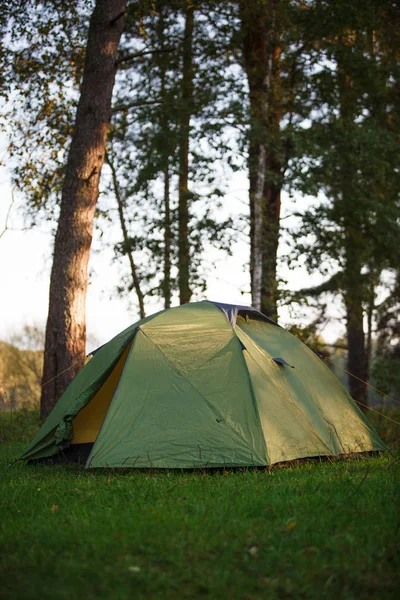 Wald Steht Ein Grünes Touristenzelt Das Von Lichtstrahlen Erhellt Wird — Stockfoto