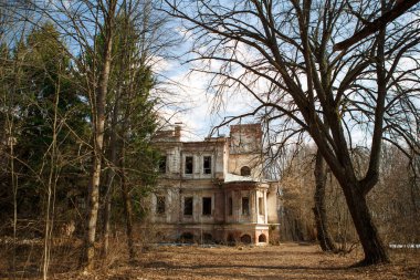 İlkbaharda ağaçların çıplak dalları arasında terk edilmiş eski bir çiftlik evi. Korkunç bir şekilde terk edilmiş mimari bir anıt.