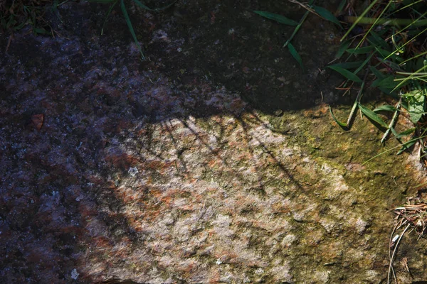 Textur Grå Sten Inramad Gräs Bakgrund Naturlig Ekoram Gräs Och — Stockfoto