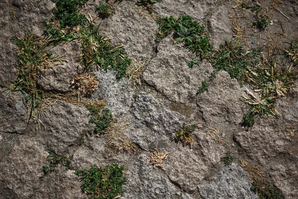 Naturlig Stenstruktur Med Mossa Och Skuggmönster Rock Täckt Med Mossa — Stockfoto