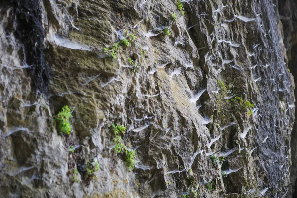Textuur Lichte Zandsteen Overhangende Lagen Zandkleurige Kalksteen Natuurlijke Wand — Stockfoto