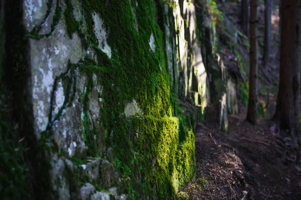 Textura Piedra Natural Con Patrón Musgo Sombra Roca Cubierta Musgo — Foto de Stock