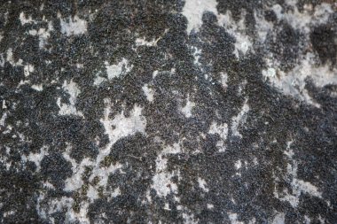 Yosun ve gölge desenli doğal taş dokusu. Yosun ve çimenle kaplı kaya, gri taş ve röfleli yeşil yosun.