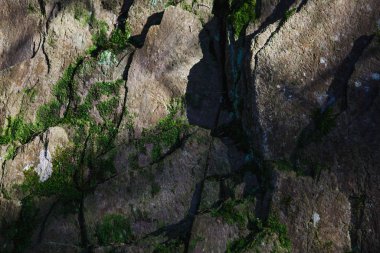 Yosun ve gölge desenli doğal taş dokusu. Yosun ve çimenle kaplı kaya, gri taş ve röfleli yeşil yosun.