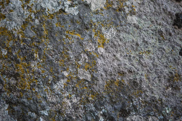 苔や影のパターンを持つ天然石のテクスチャ 苔と草 灰色の石とハイライトと緑の苔で覆われた岩 — ストック写真