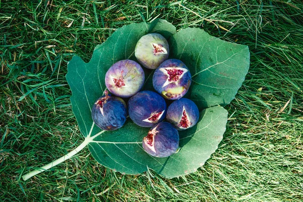 Ripe figs on a Fig leaf. Red cores of ripe figs