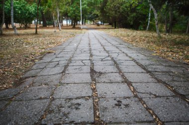 Tiled road in the Park. Grey tiles, steps, green Park in Bulgaria