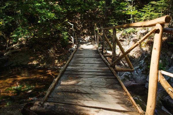 Puente Madera Con Escalones Sendero Ecológico Largo Las Rocas Río — Foto de Stock