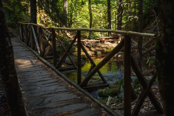 Dřevěný Most Schody Ekologické Stezce Podél Skal Horské Řeky Bulharsku — Stock fotografie