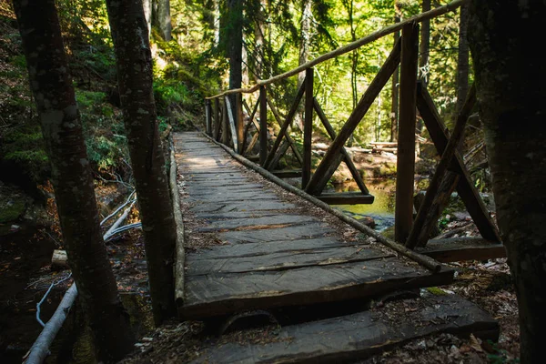 ブルガリア スモリャン市の岩や山の川に沿って生態系の歩道上の手順と木製の橋 観光ツアーや散歩のための森を通って観光道路を装備 — ストック写真