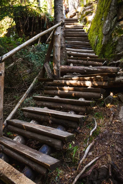 Pont Bois Avec Marches Sur Éco Sentier Long Des Rochers — Photo