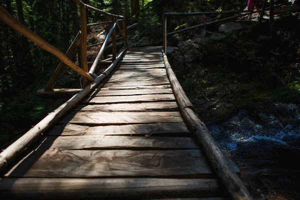 Dřevěný Most Schody Ekologické Stezce Podél Skal Horské Řeky Bulharsku — Stock fotografie