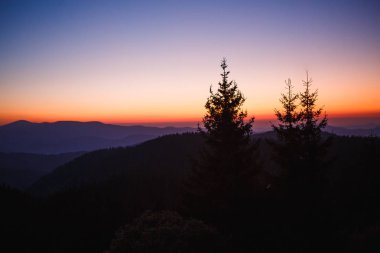 Dağlarda şafak vakti, köknar ağaçlarının siyah çizgileri ve gökyüzünün pembe şeridine karşı sisli bir dağ sırasının tepesi. Dağlardaki otel penceresinden, şafak 5 'te.