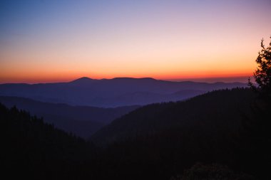 Dağlarda şafak vakti, köknar ağaçlarının siyah çizgileri ve gökyüzünün pembe şeridine karşı sisli bir dağ sırasının tepesi. Dağlardaki otel penceresinden, şafak 5 'te.